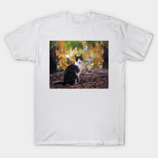 cat T-Shirt